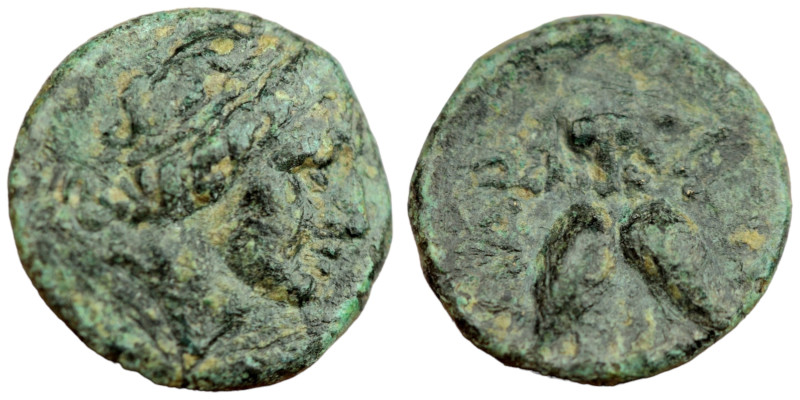 Ionia. Ephesos. (4th Century BC) Bronze Æ. (12mm 1,38g). Obv: bee. Rev: bust of ...