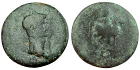 Caligula / Claudius (?). (37-54 AD). Bronze Æ. (21mm, 5,86g). provincial mint.