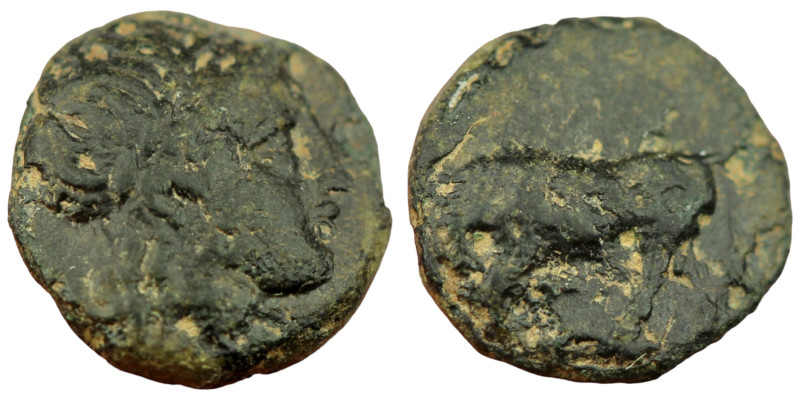 Mysia. Gambrion. (350-300 BC) Bronze Æ. (8mm 0,71g) Obv: laureate head of Apollo...