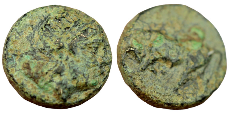 Mysia. Gambrion. (350-300 BC) Bronze Æ. (8mm 0,97g) Obv: laureate head of Apollo...