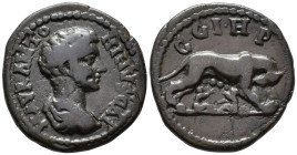 MYSIA, Parium.
Caracalla, Caesar (AD 196-198).
AE
(23 mm, 7.42 g)

M AVR ANTONINVS CAI Draped bust of Caracalla right. / CGIHP She-wolf right, su...