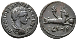 MYSIA, Parium.
Macrinus (AD 217-218).
AE
(23 mm, 5.40 g)

IMP C M OPE SEV MACRINVS Laureate, draped and cuirassed bust of Macrinus right. / Capri...
