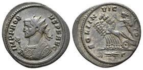 Probus (AD 276-282).
Antoninianus
(AE, 23 mm, 3.64 g)
AD 276-282, Rome.

IMP PROBVS P F AVG Bust of Probus left, radiate, wearing imperial mantle...