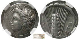 LUCANIA, Metapontum. Circa 330-280 BC. AR Stater. NGC-XF.