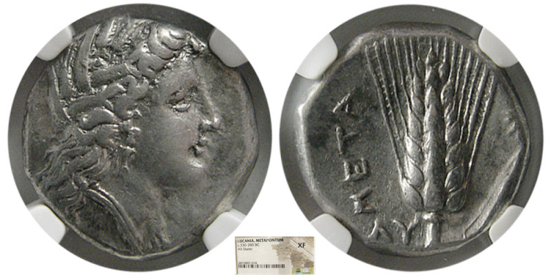 LUCANIA, Metapontum. Circa 330-280 BC. AR Stater. NGC-XF. Obv: Wreathed head of ...