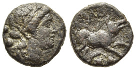 LUCANIA. Paestum (Poseidonia). AE Sextans (218-201 BC).

Obv: Female head right; two pellets (mark of value) to left.
Rev: ΠΑIS.
Wild boar right; two ...