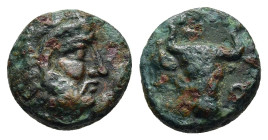 MACEDON. Dikaia in Halkidiki. AE (circa 400-350 BC).

Obv: Head of Herakles to right, wearing lion's skin headdress. 
Rev: ΔIKAIOΠ Bull's head to righ...