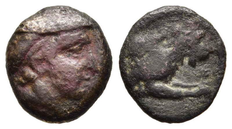 KINGS of MACEDON. Aeropos (398/7-395/4 BC). AE Chalkous.

Obv: Male head right, ...