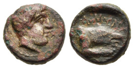 KINGS of MACEDON. Amyntas II (395/4-393 BC). AE.

Obv: Male head right.
Rev: AMYNTA.
Forepart of wolf right.

SNG ANS -; SNG Alpha Bank 179-80.

Condi...
