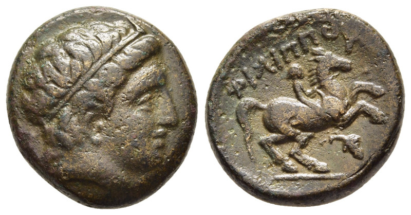 KINGS of MACEDON. Philip II (359-336 BC). AE. Uncertain mint in Macedon.

Obv: M...