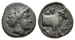 EUBOIA. Histiaia. AE (circa 338-304 BC).

Obv: Head of Nymph Histiaia right, wearing grape wreath.
Rev: Forepart of cow standing to right; above, grap...
