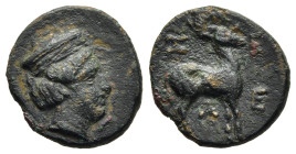 TROAS. Zeleia. AE (4th century BC).

Obv: Head of Artemis right, wearing stephane.
Rev: Z - E / Λ - E.
Stag standing right; below, grain ear right.

S...
