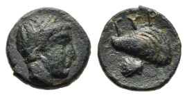 AEOLIS. Gyrneion. AE (4th-3rd centuries BC).

Obv: Laureate head of Apollo right.
Rev: ΓYP.
Mussel shell; scallop below.

SNG Copenhagen 207 var. (clu...