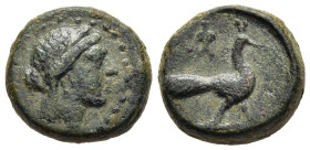 IONIA. Samos. AE (circa 129-20 BC).

Obv: Head of Hera right, wearing stephane.
Rev: Peacock standing right; monogram above.

SNG von Aulock 2304 var....