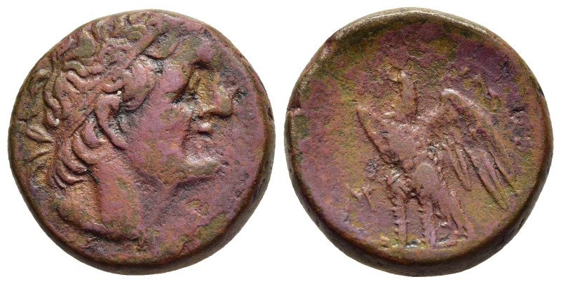PTOLEMAIC KINGS of EGYPT. Ptolemy I Soter (305-282 BC). AE. Uncertain mint. 

Ob...