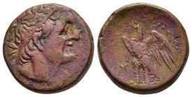 PTOLEMAIC KINGS of EGYPT. Ptolemy I Soter (305-282 BC). AE. Uncertain mint. 

Obv: Diademed head of Ptolemy I Soter right.
Rev: Eagle standing right o...
