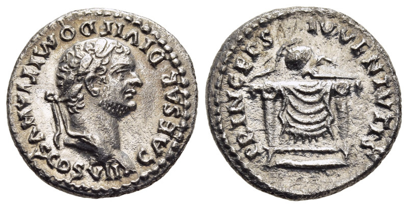 DOMITIAN (Caesar, 69-81). Denarius. Rome.

Obv: CAESAR DIVI F DOMITIANVS COS VII...