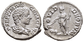 GETA (Caesar, 198-209). Denarius. Rome.

Obv: P SEPTIMVS GETA CAES.
Bareheaded and draped bust right.
Rev: PROVID DEORVM.
Providentia standing left, h...