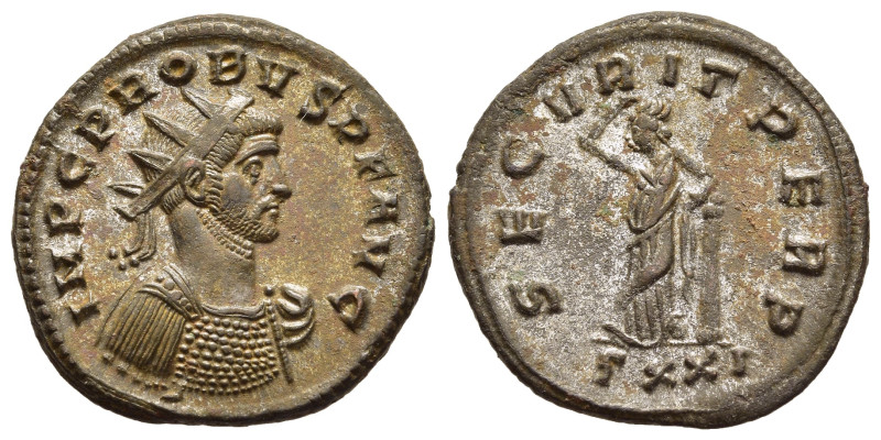 PROBUS (276-282). Antoninianus. Ticinum.

Obv: IMP C PROBVS P F AVG.
Radiate and...