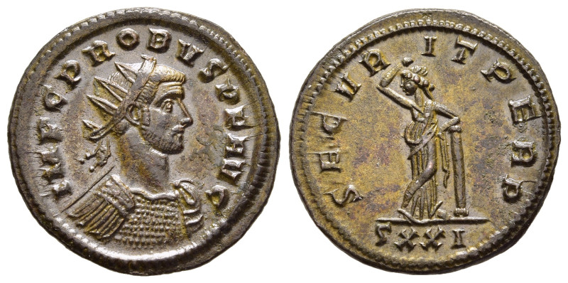 PROBUS (276-282). Antoninianus. Ticinum.

Obv: IMP C PROBVS P F AVG.
Radiate and...