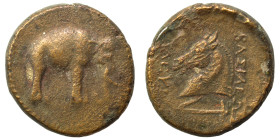 SELEUKID KINGS of SYRIA. Seleukos I Nikator, 312-281 BC. (bronze, 7.70 g, 20 mm), Apamea-on-the-Orontes. Elephant standing right. Rev. ΒΑΣΙΛΕΩΣ ΣΕΛΕΥΚ...