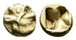 Ionia, Phokaia. ca. 625-600 BC. 1/48 Stater- Electrum (5,5mm, 0.33 g.) Head of griffin to right. Rev. Incuse square punch. Bodenstedt 1. Traité I, 175...