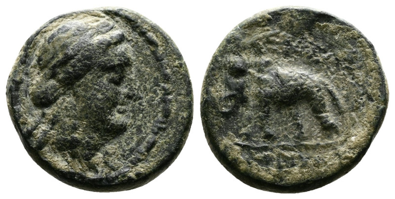 Seleukid Kingdom. Antiochos III the Great (222-187 BC.) AE (14,5 mm, 2,59 g.). S...