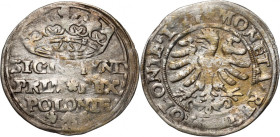 Zygmunt I Stary, grosz 1527, Kraków