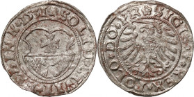 Zygmunt I Stary, szeląg 1531, Elbląg