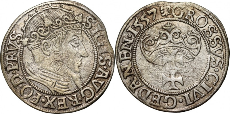 Zygmunt II August, grosz 1557, Gdańsk Końcówka blachy. Reference: Kopicki 7362 (...
