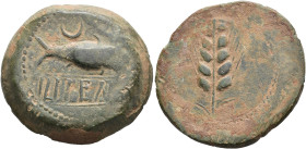 HISPANIA ANTIGUA. Unidad. Ilipa. A/ Sábalo a der., encima creciente, debajo ILIPENSe entre líneas. R/ Espiga. AE 27,42 g. 32,9 mm. I-1531; ACIP-2335. ...