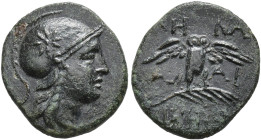 GRECIA ANTIGUA. MISIA. AE. Pérgamo (c. 200-133 a.C.). A/ Cabeza de Atenea a der. R/ Lechuza de frente sobre palma. AE 2,26 g. 16 mm. COP-383 ss. SBG-3...