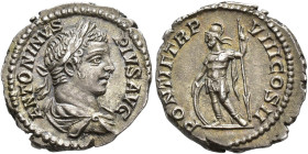 IMPERIO ROMANO. CARACALLA. Denario. Roma (207). A/ Cabeza laureada a der. R/ Caracalla con lanza y parazonium entre dios fluvial y dos figuras reclina...