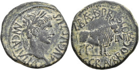 HISPANIA ANTIGUA. Calagurris. As. Augusto. A/ Cabeza laureada a der,; AVGVSTVS MVN CAL IVLIA. R/ Toro a der.; L BAEB PRISCO C GRAN BROC II VIR. AE 11,...