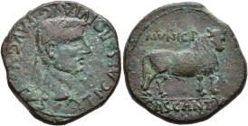 HISPANIA ANTIGUA. Cascantum. As. Tiberio. A/ Cabeza laureada a der.; TI CAESAR DIVI AVG F AVGVSTVS. R/ Toro a der., rabo recto; MVNICIP/CASCANTVM. AE ...