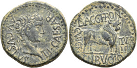 HISPANIA ANTIGUA. Celsa. As. Tiberio. A/ Cabeza laureada a der.; TI CAESAR AVGSTVS. R/ Toro a der.; BAGG FRONT CN BVCCO/ C V I CEL II VIR/II. AE 14,35...