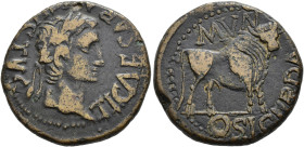 HISPANIA ANTIGUA. Osicerda. As. Tiberio. A/ Cabeza laureada a der.; TI CAESAR AVGVSTVS. R/ Toro a der.; MVN/OSICERDA. AE 10,91g. 26,1 mm. I-1958; APRH...