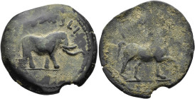 HISPANIA ANTIGUA. Sacili. As. A/ Elefante a der.; SACILI. R/ Caballo avanzando a der., encima ley. fenicia poco visible. AE 16,76g. 34,5 mm. I-2118; A...