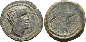 HISPANIA ANTIGUA. Sisapo. Unidad. A/ Cabeza masculina a der. R/ Jabalí a der., en exergo SISAPO. AE 18,65g. 31,3 mm. I-2253; ACIP-2442. Pátina oscura....