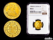 Charles IV (1788-1808). 2 escudos. 1805. Madrid. FA. (Cal-1312). Au. Original luster. Slabbed by NGC as MS 61. Est...750,00. 

Spanish Description: ...