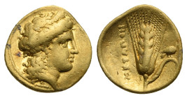 LUCANIA. Metapontum. Time of Alexander the Molossian, circa 334-330 BC. Tetrobol or Third Stater (Gold, 13.40 mm, 2.61 g), Achaian standard. Head of H...