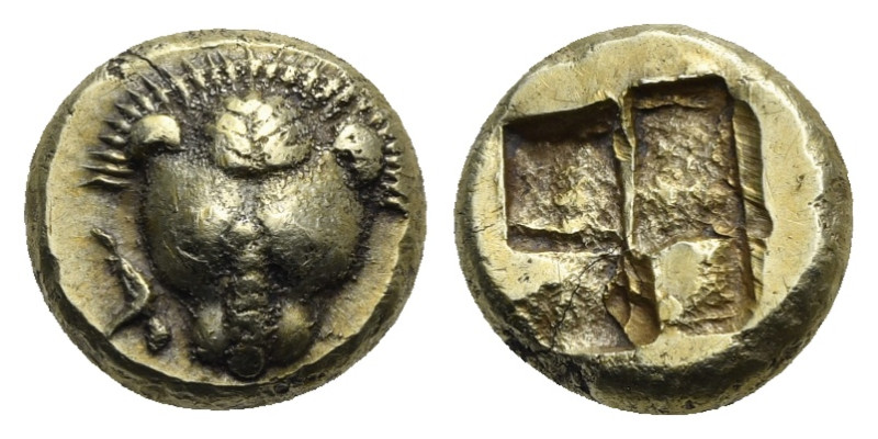 IONIA. Phokaia. Circa 478-387 BC. Hekte (Electrum, 10,33 mm, 2,56 g). Head of a ...