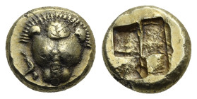 IONIA. Phokaia. Circa 478-387 BC. Hekte (Electrum, 10,33 mm, 2,56 g). Head of a Lion facing with his mane outstretched behind; to left, swimming downw...