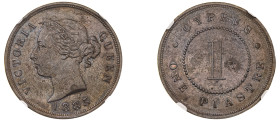 Cyprus, British Administration, Victoria, 1837-1901. Piastre, 1885, Royal mint (KM3.2; Fitikides 31).

Uniform brown patina with underlying luster.

G...