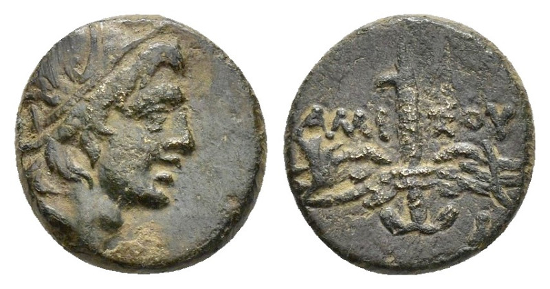 PONTOS. Amisos. Time of Mithradates VI.(Circa 105-85 BC). Ae.

Obv : Head of Per...