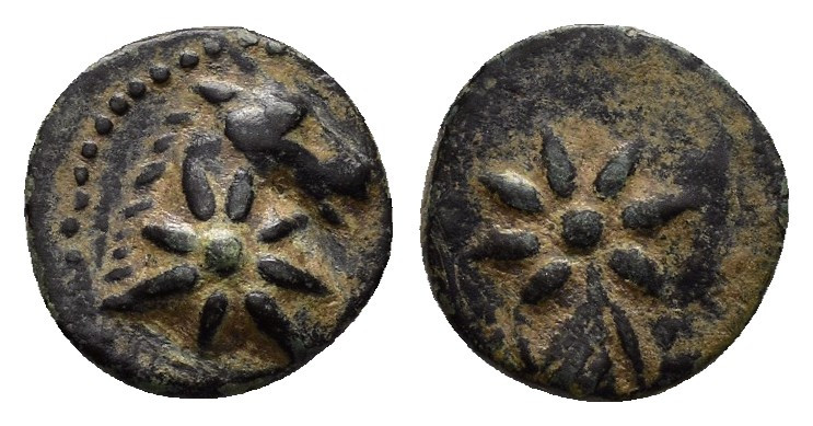 PONTOS. Uncertain.(Circa 130-100 BC).Ae.

Obv : Head of horse right, with star o...