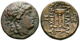 REINO SELEUCIDA, Antiocos II Theos. Ae16. (Ae. 4,29g/16mm). 261-246 a.C. Sardes. (SNG Spaer 360). Anv: Cabeza laureada de Apolo a derecha. Rev: Trípod...