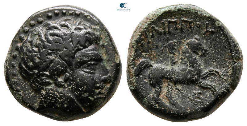Kings of Macedon. Uncertain mint. Philip II of Macedon 359-336 BC. 
Bronze Æ
...