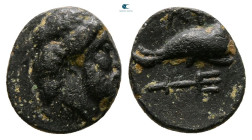 Caria. Myndos circa 386-300 BC. Bronze Æ