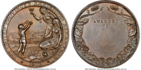 "Allahabad United Provinces Exposition" bronze Medal 1910 MS62 Brown NGC, Pudd-910.1. 63mm. By Goldsmiths & Silversmiths Co., London. Unawarded. Ex. B...